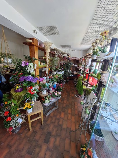 Blumen Egelhof, Blumenladen in Monsheim