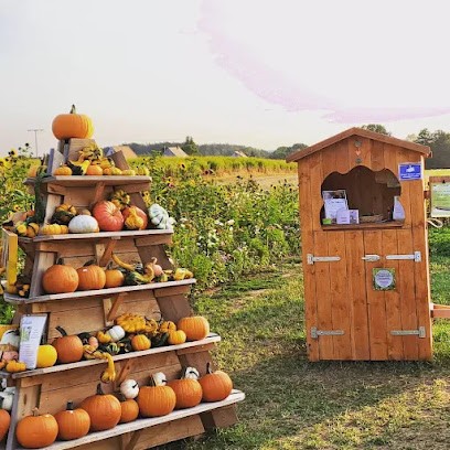 Blumen- und Kürbisfeld vom Milchviehhof Uysmüller, Blumenladen in Feuchtwangen