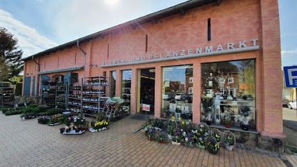 Blumen- u. Pflanzenmarkt Erich Rahlf & Söhne, Blumenladen in Dassow