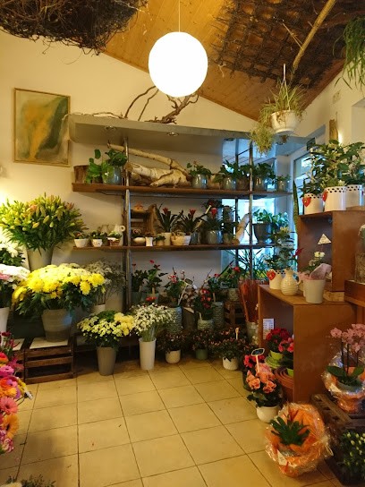 Blumenladen Sonnenblume, Blumenladen in Satow