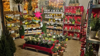 Blumen Terwort OHG, Blumenladen in Gronau