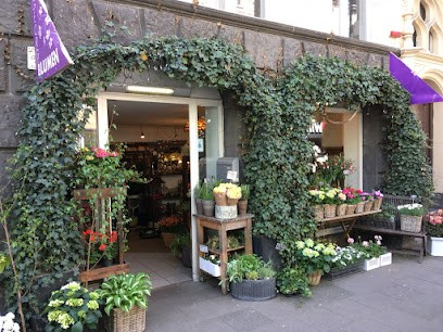 Blumenhaus Georg, Blumenladen in Köln