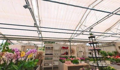 Blumen Engler, Blumenladen in Kenzingen