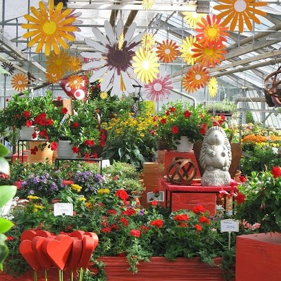 Thiebus Floristik, Blumenladen in Eitorf