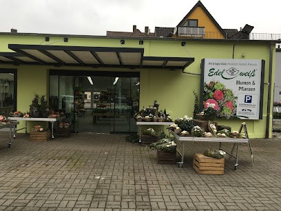 Blumen Edelweiß Hünfeld 2, Blumenladen in Hünfeld