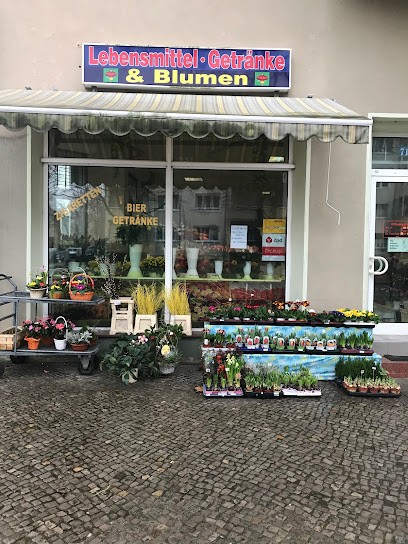 BLUMENLADEN ORANIENBURG, Blumenladen in Oranienburg