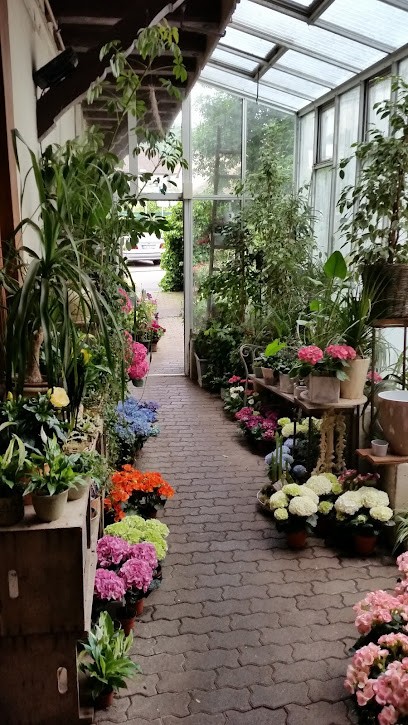 Wolfgang Bitzer, Blumenladen in Bad Bergzabern