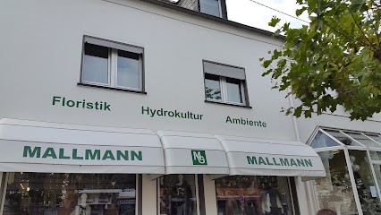 Blumen Mallmann, Blumenladen in Mendig