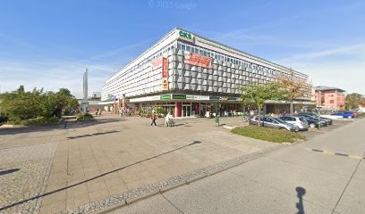 Ohlbrechts Blumenland GmbH, Blumeneck, Blumenladen in Schwedt