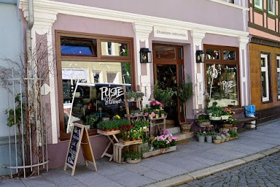 Pusteblume, Blumenladen in Nordhausen