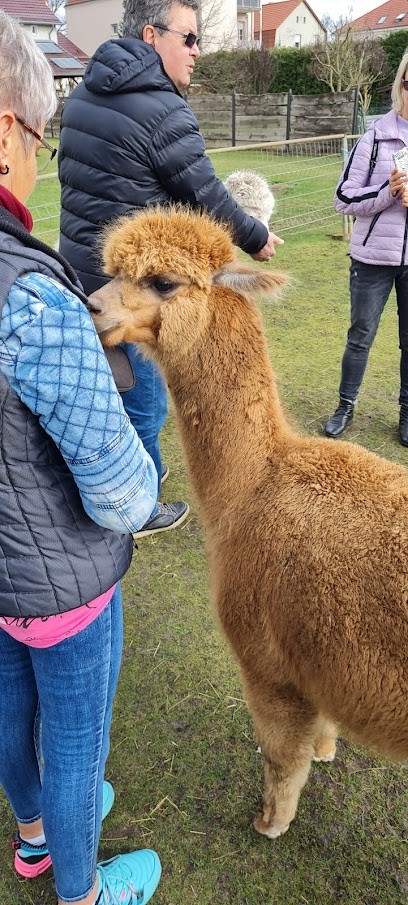 Blumenhaus Heners, Blumenladen in Zossen