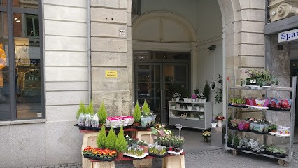 Mona's Blumenladen Mohrenstr. 32, Blumenladen in Coburg