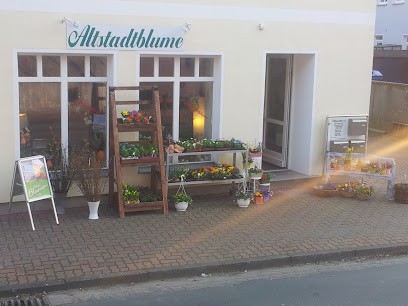 Altstadtblume, Blumenladen in Pattensen