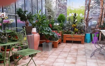 Blumen Moczigemba, Blumenladen in Wunsiedel