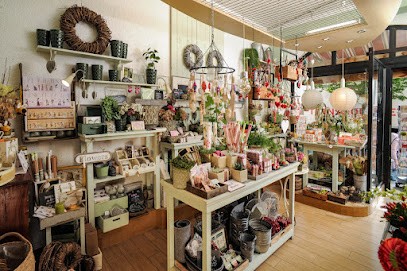 Ewiger Frühling Inh. Viola Schumann, Blumenladen in Nordhausen