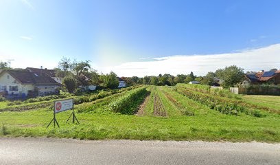 Blumen selber pflücken Raisting, Blumenladen in Raisting