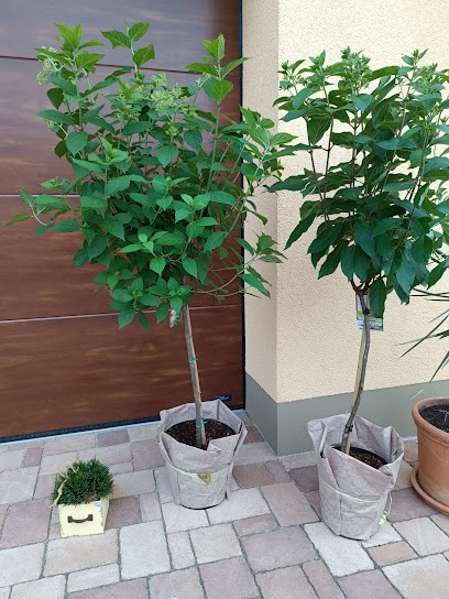 Stadtgärtnerei Schleiz, Blumenladen in Schleiz