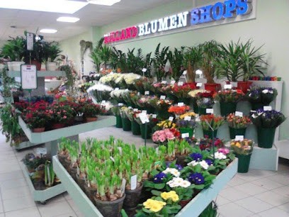 Holland Blumenshop, Blumenladen in Zschorlau