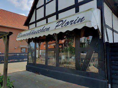 Plorin, Blumenladen in Nienburg