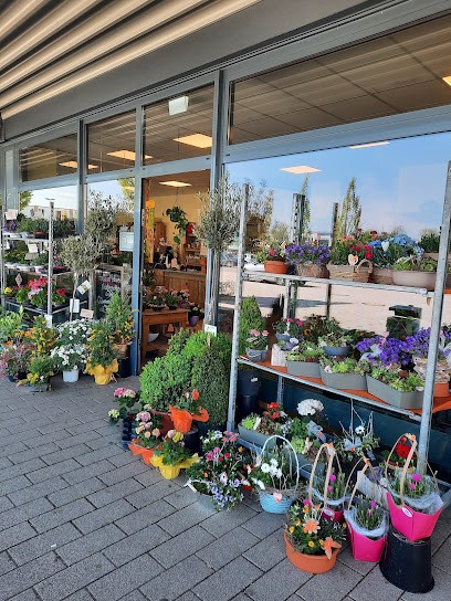 Holland Blumen, Blumenladen in Ronnenberg