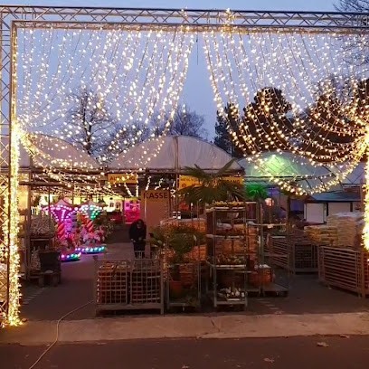 Blumen und pflanzenmarkt Holländer Köln, Blumenladen in Köln