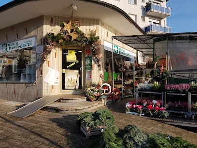 Maintal Blumen Center, Blumenladen in Maintal