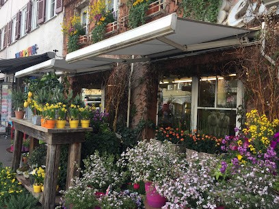 Blumen Walter, Blumenladen in Schorndorf