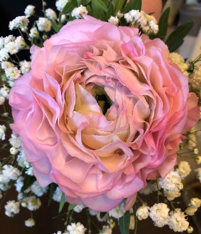 Blumen Fuß, Blumenladen in Löhne