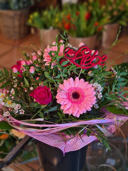 Gärtnerei G. Lipp, Blumenladen in Bergheim