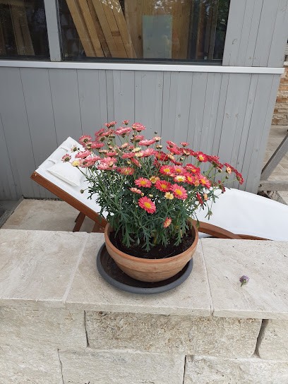 Frey Simon Blumen und Gärtnerei, Blumenladen in Ziemetshausen