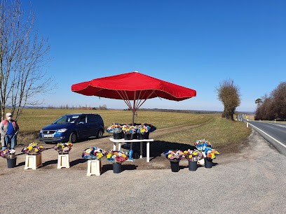 Blumen-Stand, Blumenladen in Kist