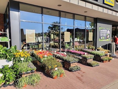 Der Holländer G.S.Geerlings Blumen & Pflanzen, Blumenladen in Bispingen