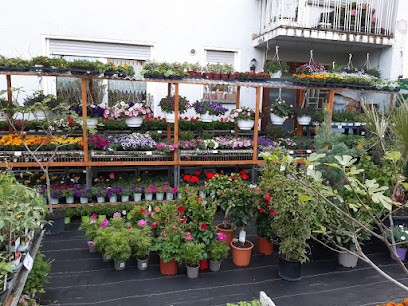 Blumen Akgün, Blumenladen in Schifferstadt