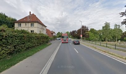 Friedhofsgärtnerei Am Lohgraben, Blumenladen in Northeim