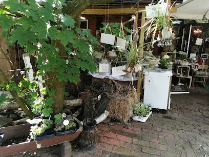 Duft & Dornen Inh. Anke Koenig, Blumenladen in Rahden