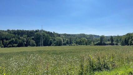 Blumen Häuschen - Stefan Häuschen, Blumenladen in Iserlohn