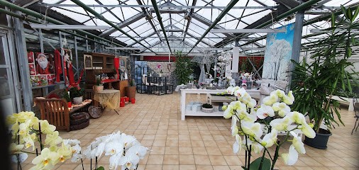 Dirk Rackelmann Gartenbau U. Blumenhaus, Blumenladen in Lemgo