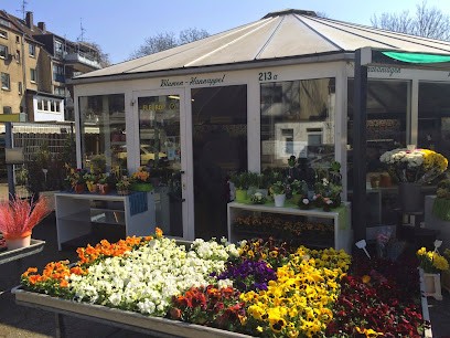 Blumen Hannappel, Blumenladen in Düsseldorf