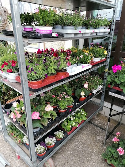 Blumenboutique Seegeler, Blumenladen in Dippoldiswalde