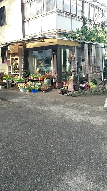 Blumenwerkstatt Heckmann, Blumenladen in Freiburg im Breisgau