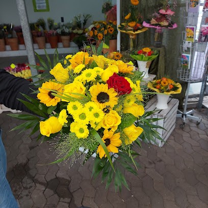 Blumen-Center Am Friedhof Oliver Engels, Blumenladen in Euskirchen