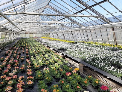 Heinrich-Wilhelm Horstmann, Blumenladen in Kirchlengern