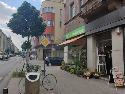 Blumen Senger, Blumenladen in Köln