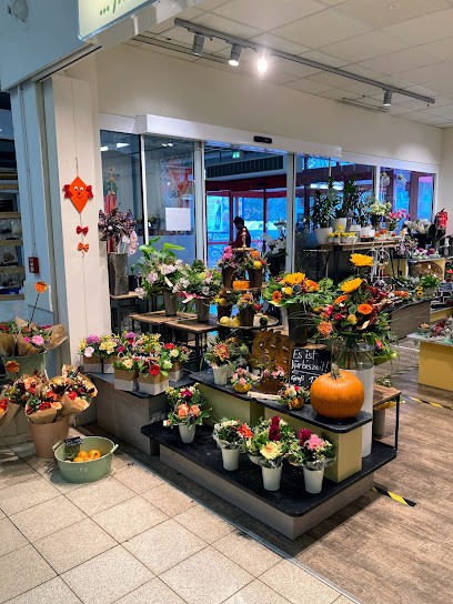 Florizz Blumen, Blumenladen in Zittau