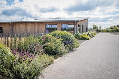 Dörrenbächer pflanzen & gestalten, Blumenladen in Merchweiler