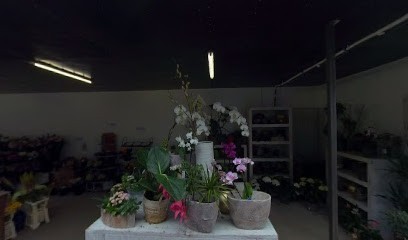 Helmut Koenen Blumen- und Gartenparadies, Blumenladen in Emmerich