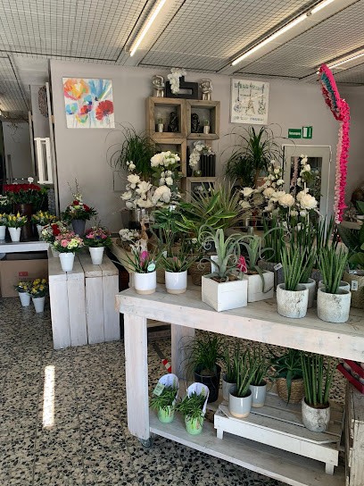 Blumengalerie Inh. Hofman, Blumenladen in Baesweiler