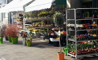 Blumenhaus Graf, Blumenladen in Langen