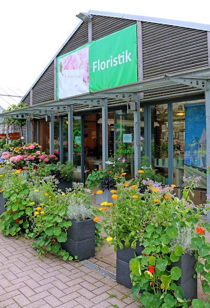 Blume & Co | Gärtnerei Und Floristik Bei Verden, Blumenladen in Kirchlinteln