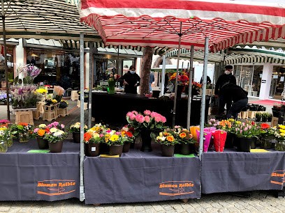 Gärtnerei Raible Karl-Josef, Blumenladen in Hausen